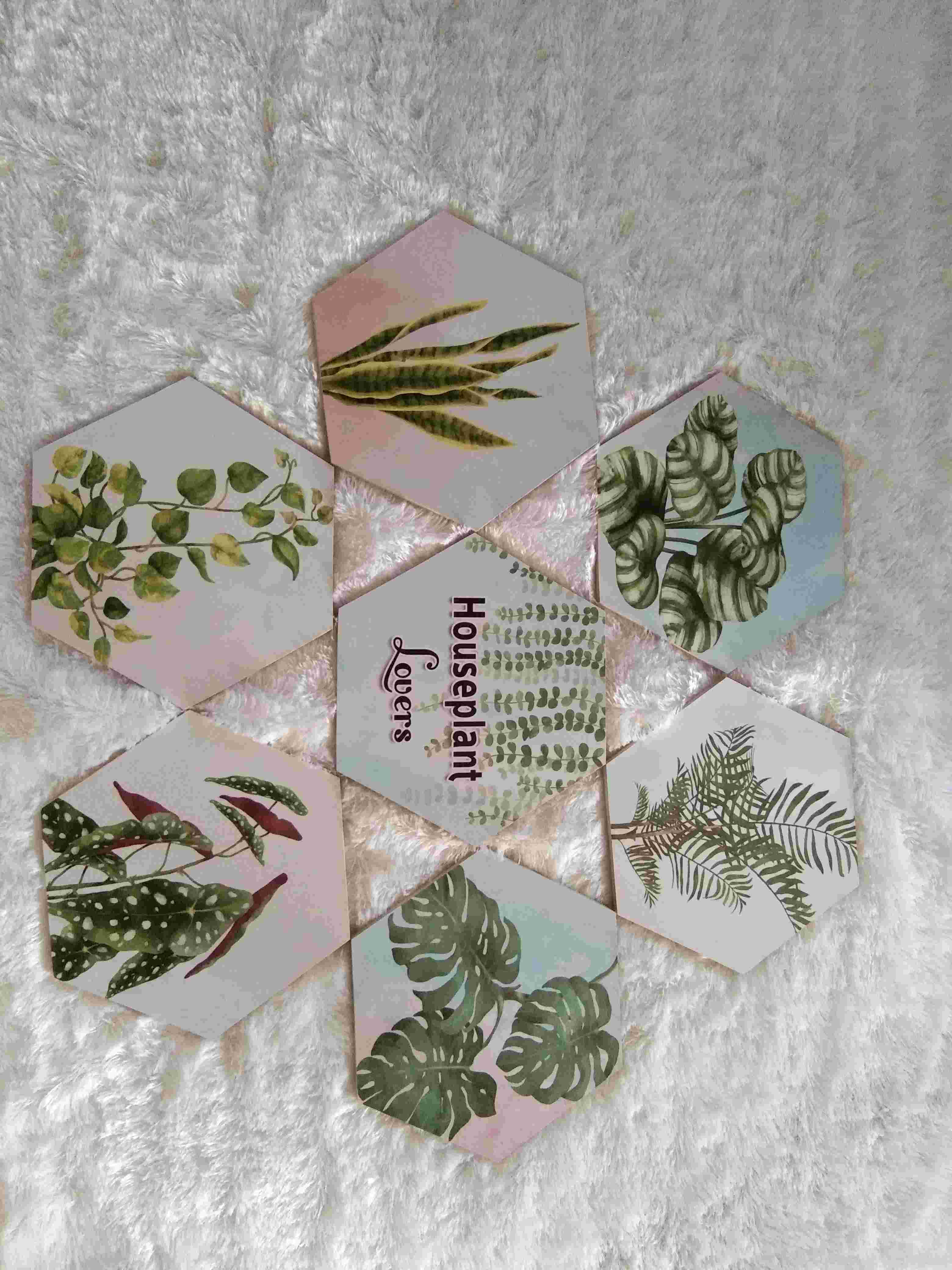 20cm Hiasan Dinding Pajangan Hexagonal Daun Tropical Monstera Bunga Vintage Bunga Matahari