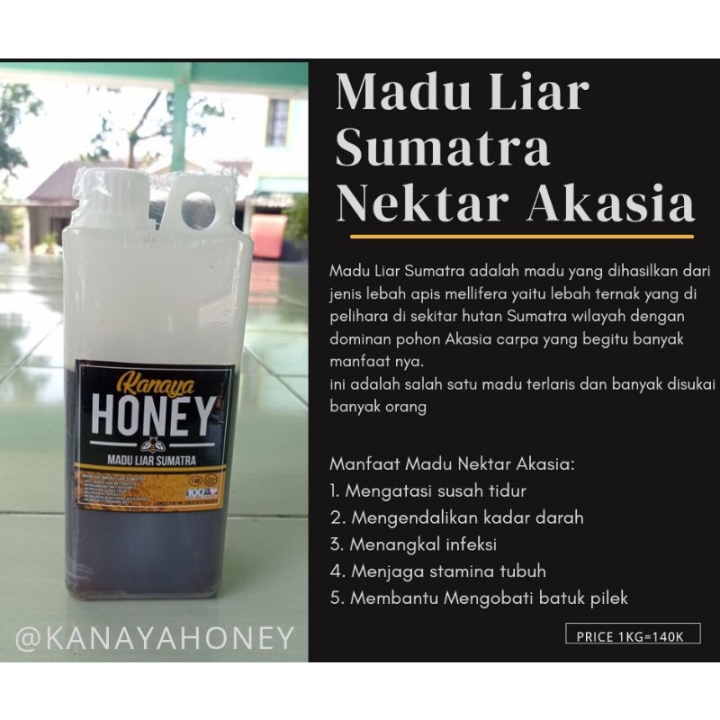 

Madu Liar Akasia