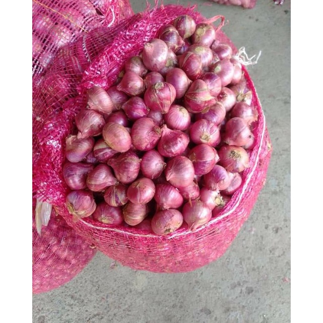 

bawang merah super 500 gr