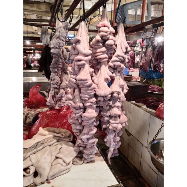 

Usus sapi/iso
