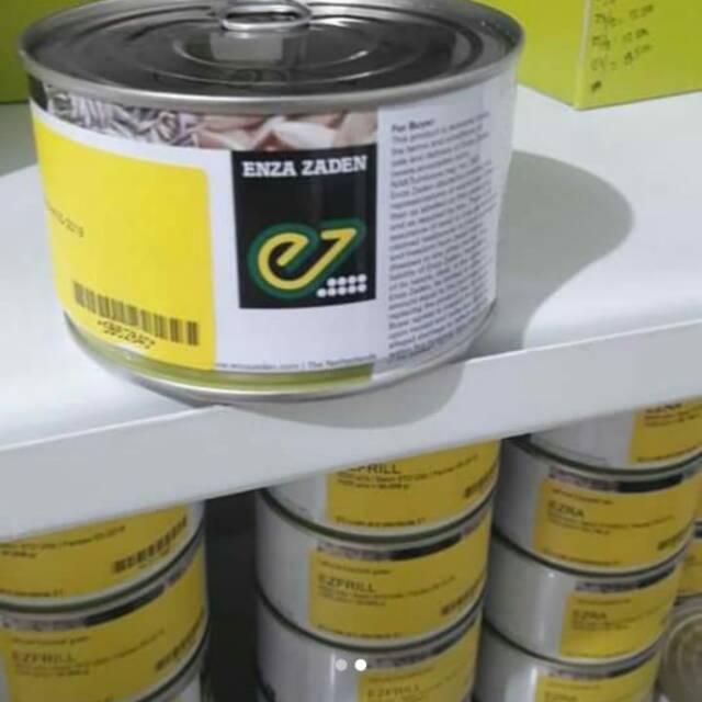 Benih selada lollobionda dabi enza zaden