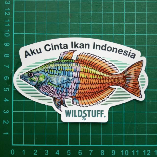 Sticker Wildstuff - Aku Cinta Ikan Indonesia Bosemani Rainbow