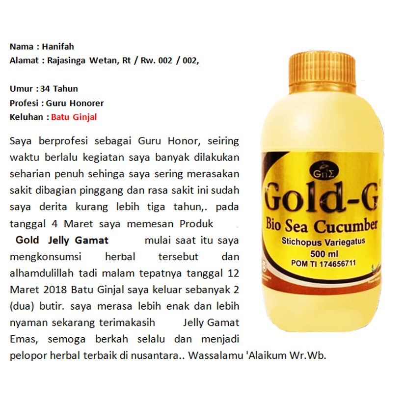 Obat Penghancur Batu Ginjal Alami Jelly Gamat Gold G Indonesia