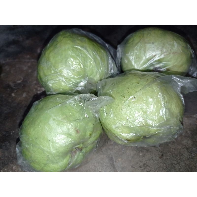 

jambu kristal 1kg ukuran sedang