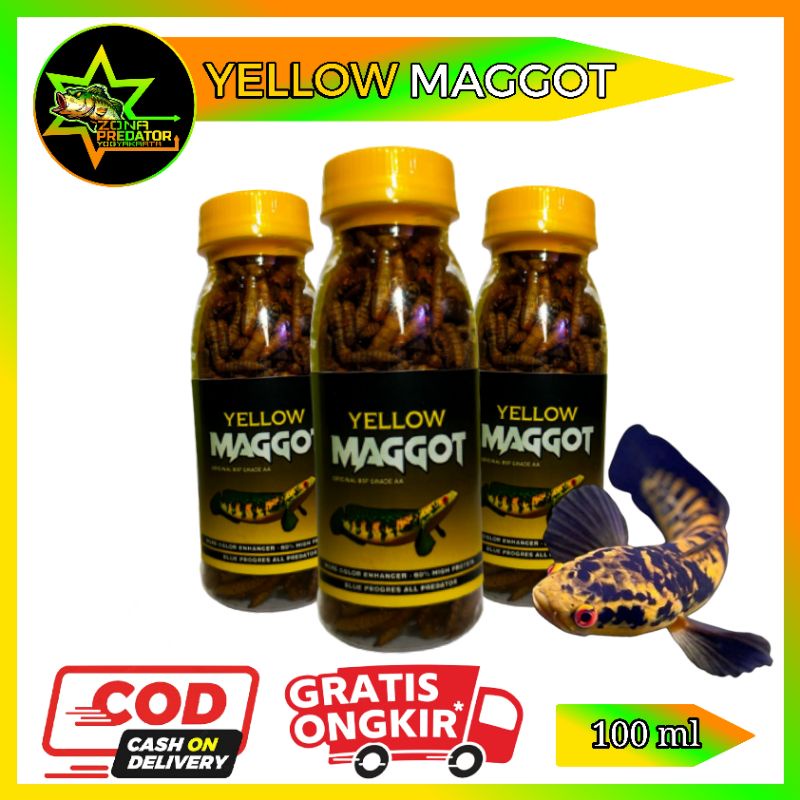 Yellow Maggot Pakan Maru Kemasan Botol 100 ml