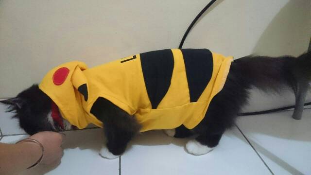 Kostum pikachu untuk kucing anjing / baju kucing imut / kostum kucing size S M L XL