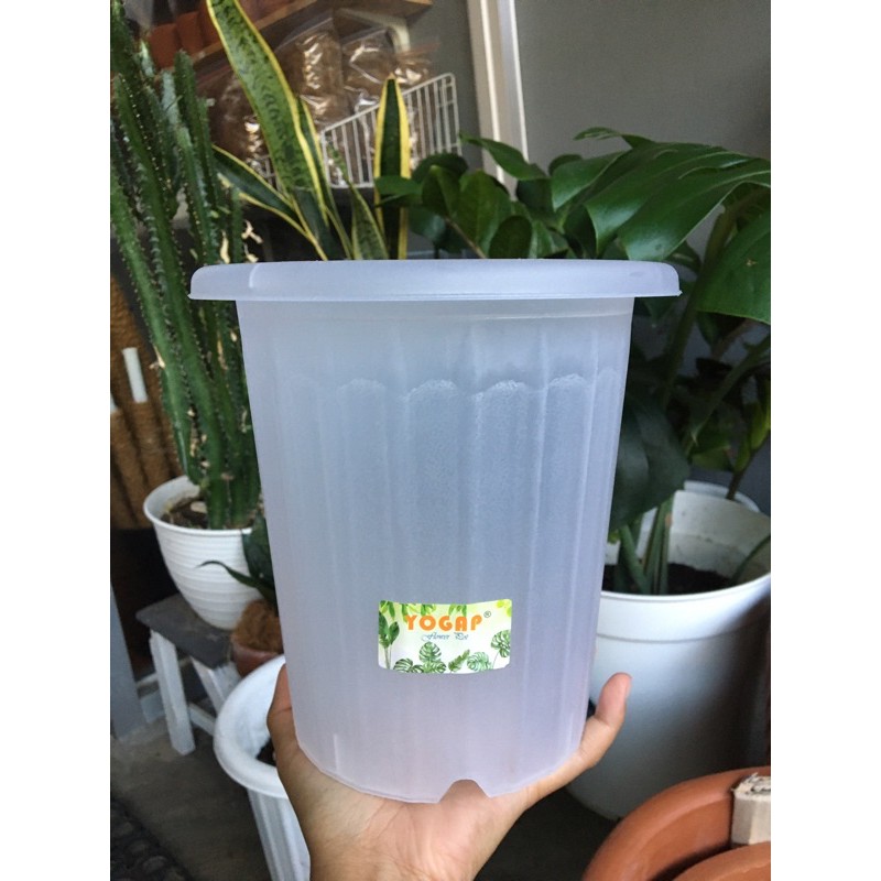 Pot yogap 15 bening - pot transparan - pot bening murah