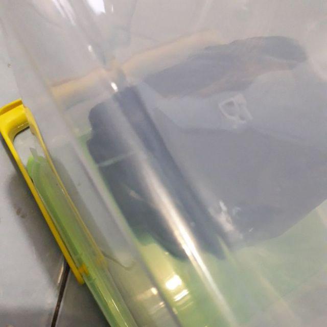 Toples Sealware Tenteng Gagang Kotak Plastik Agatha