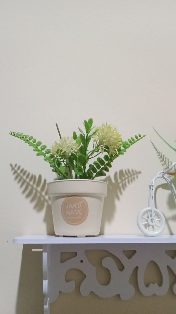 Tanaman Pakis Bulat Bunga Plastk