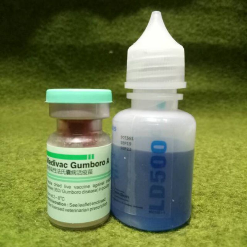 Vaksin gumboro A dosis 500/gumboro A/vaksin tetes/vaksin minum ayam