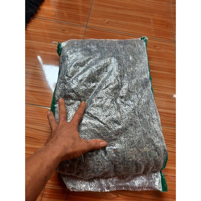 MEDIA TANAM LUMUT HIDUP MOSS FOREST KEMASAN 1 KARUNG