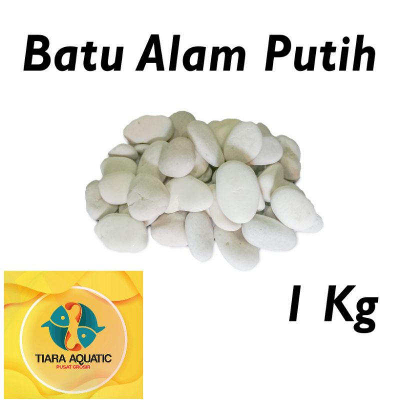 Batu Putih hiasan aquarium kolam