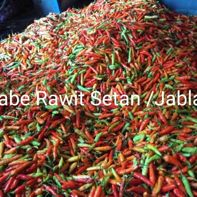 

Cabe rawit merah/cabe rawit setan 500gram