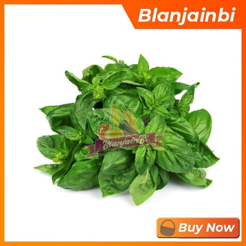 

Daun Basil Bandung Area