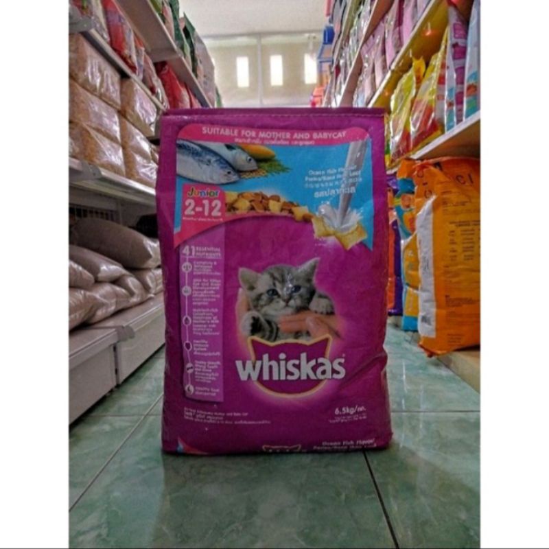 Grab / Gojek whiskas kitten onceanfish 6,5kg-makanan anak kucing frespack 6,5kg