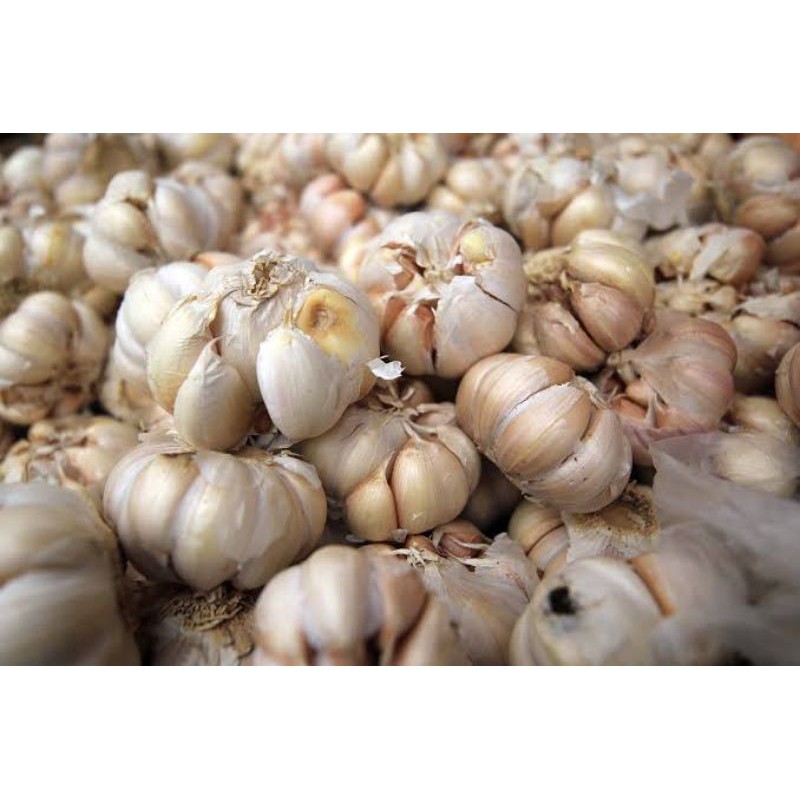 

bawang putih 250 gram