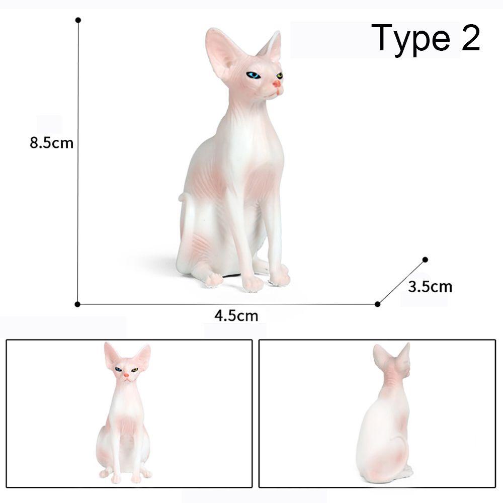 Mainan Edukasi Model Kucing Tanpa Rambut Untuk Hadiah
