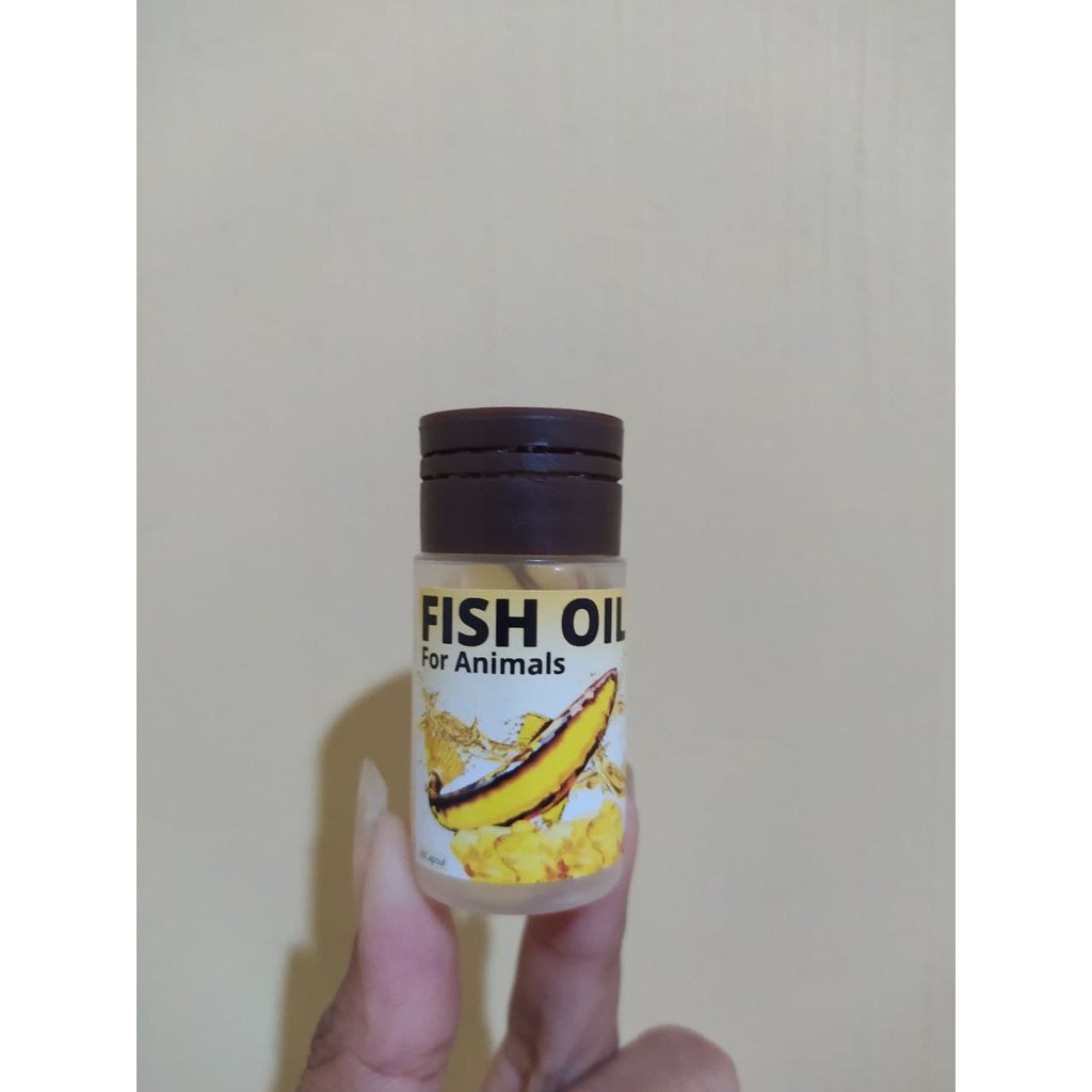 MINYAK IKAN FISH OIL VITAMIN OMEGA BULU KUCING ANJING HAMSTER 20 BUTIR HARGA LEBIH MURAH FEZONE
