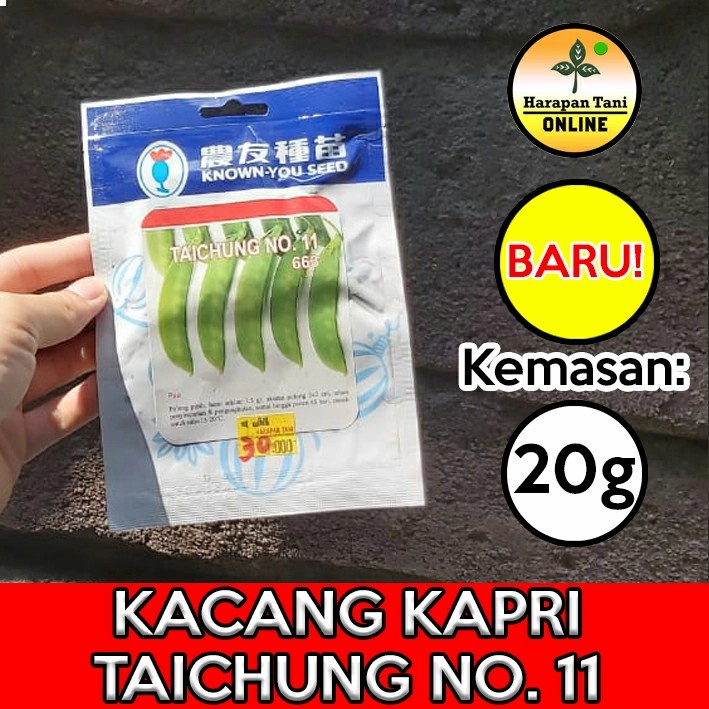 Taichung No.11 663 20g | Kacang Kapri | Known You Seed