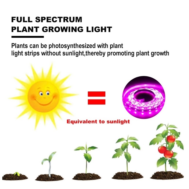Lampu Strip LED Tenaga USB Ukuran 0.5 / 1 / 3m Untuk Pertumbuhan Tanaman