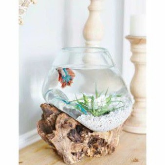 AQUARIUM / AQUARIUM SIZE L/ AQUARIUM ALAS KAYU / ETNIC / GLASS ON WOOD