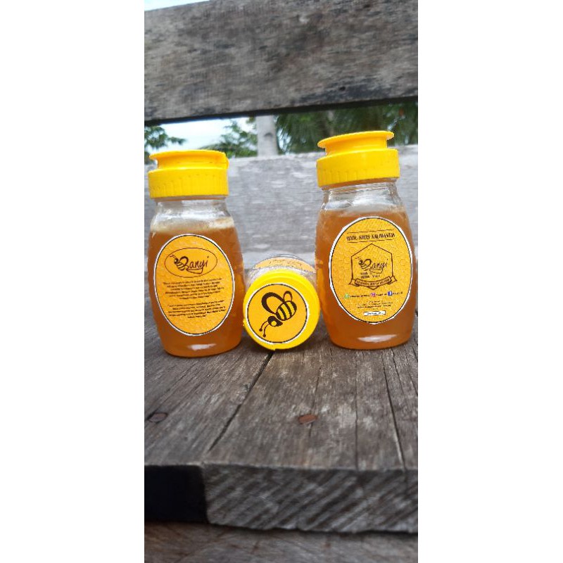 

Banyi, Madu Khas Kalimantan
