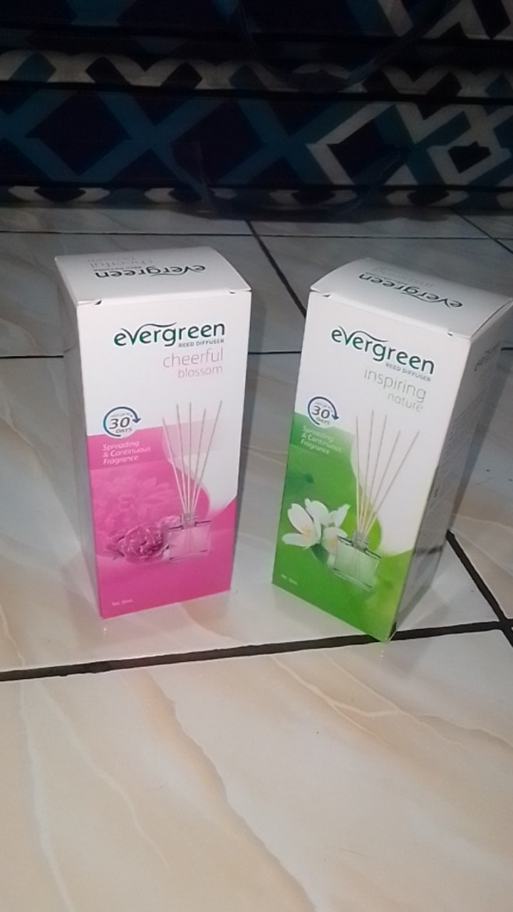 Evergreen / Reed Diffuser / 30ml / Set / Refill / Pengharum Ruangan / Aroma Bunga
