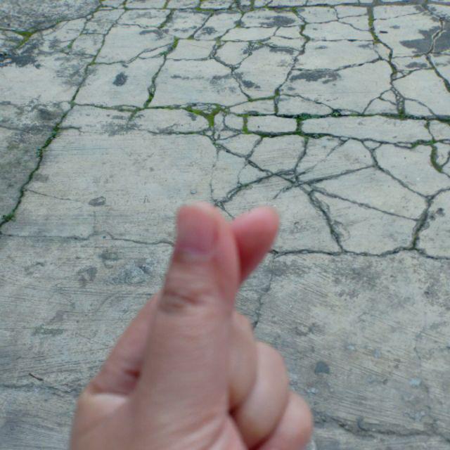 Cetakan Bolu Puding Mawar Per Lusin