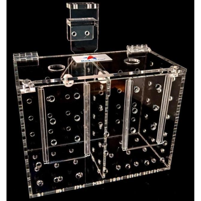 

Red Starfish Twin Acclimation Tank RF-2S ---READY---
