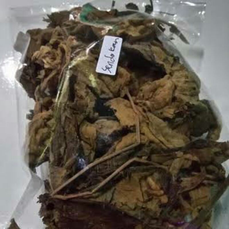 Daun Sendok kering 1kg