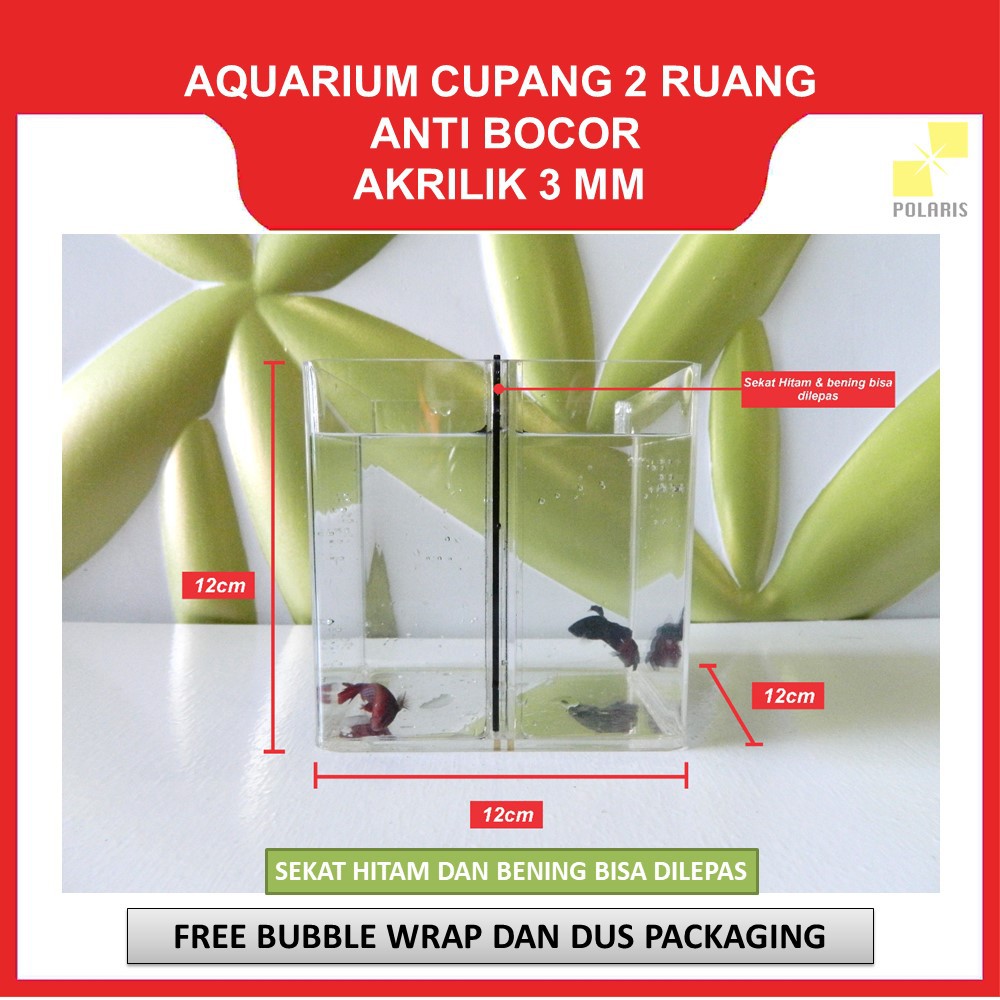 AKUARIUM IKAN CUPANG AKRILIK / SOLITER IKAN CUPANG / AQUARIUM ACRYLIC IKAN HIAS 2 RUANG