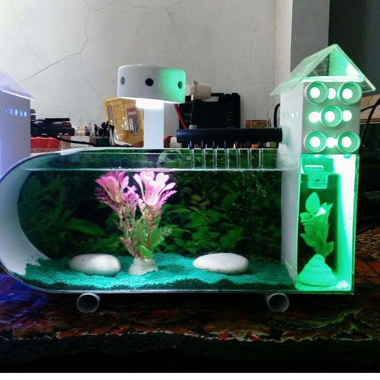 850 Koleksi Dekorasi Ruang Tamu Dengan Aquarium Gratis