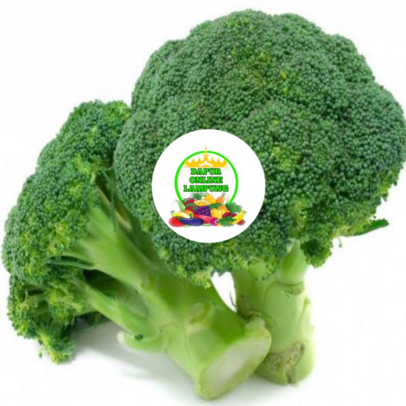 

BROKOLI HIJAU 500GR/ BROCCOLI SAYURAN SEGAR BISA [ GOSEND ] Bandar Lampung