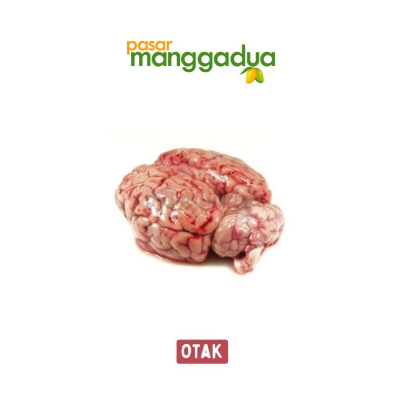 

TERMURAH !!! Otak Sapi Per Pcs / Daging Segar