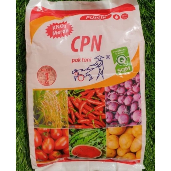 KNO3 CPN merah (1kg&2kg)