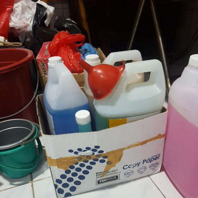 Dahlia Kamper Color Ball [k-27]