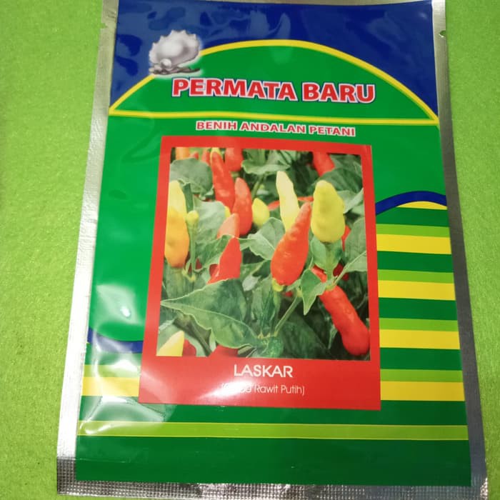 

Unik Benih Cabe Rawit LASKAR, 10 gr Murah