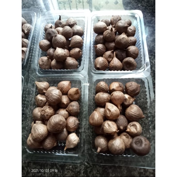 

Bawang Hitam Tunggal/ lanang murah