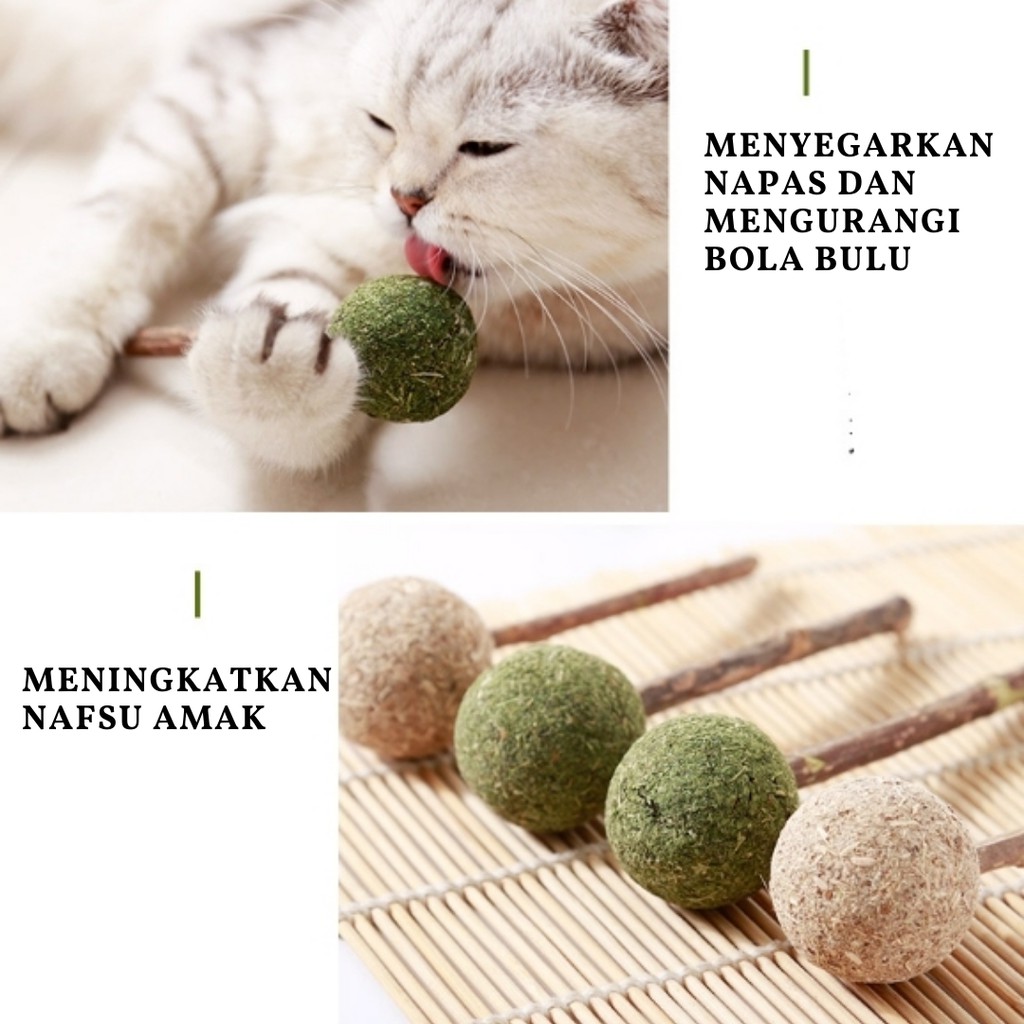 Catnip Stick / Lollipop / Snack Kucing Mainan Catnip Bahan Alami