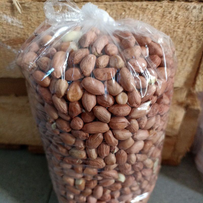 

KACANG tanah