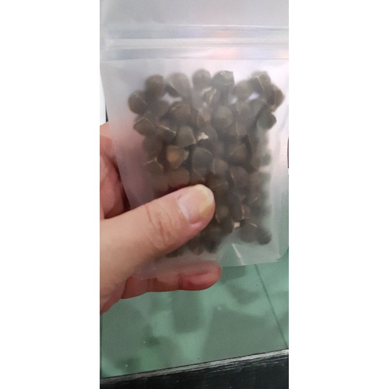 

BIJI KELOR PREMIUM UTK