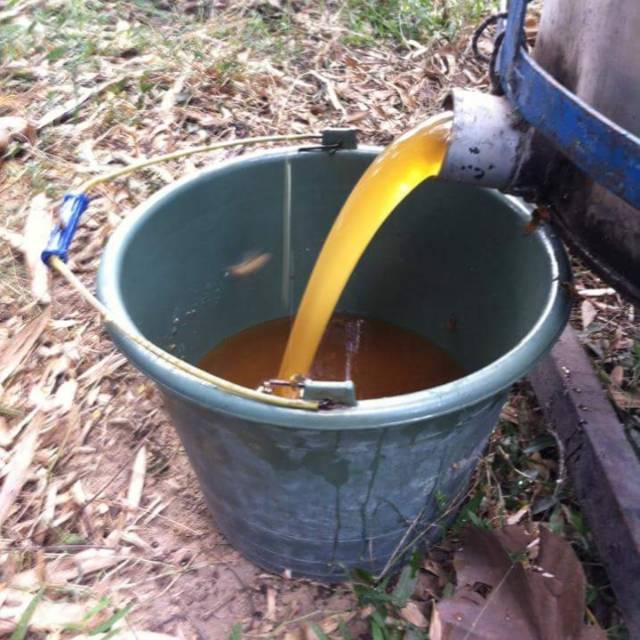 

Madu murni asli