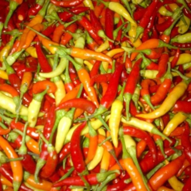 

Cabe Rawit 1 Kg