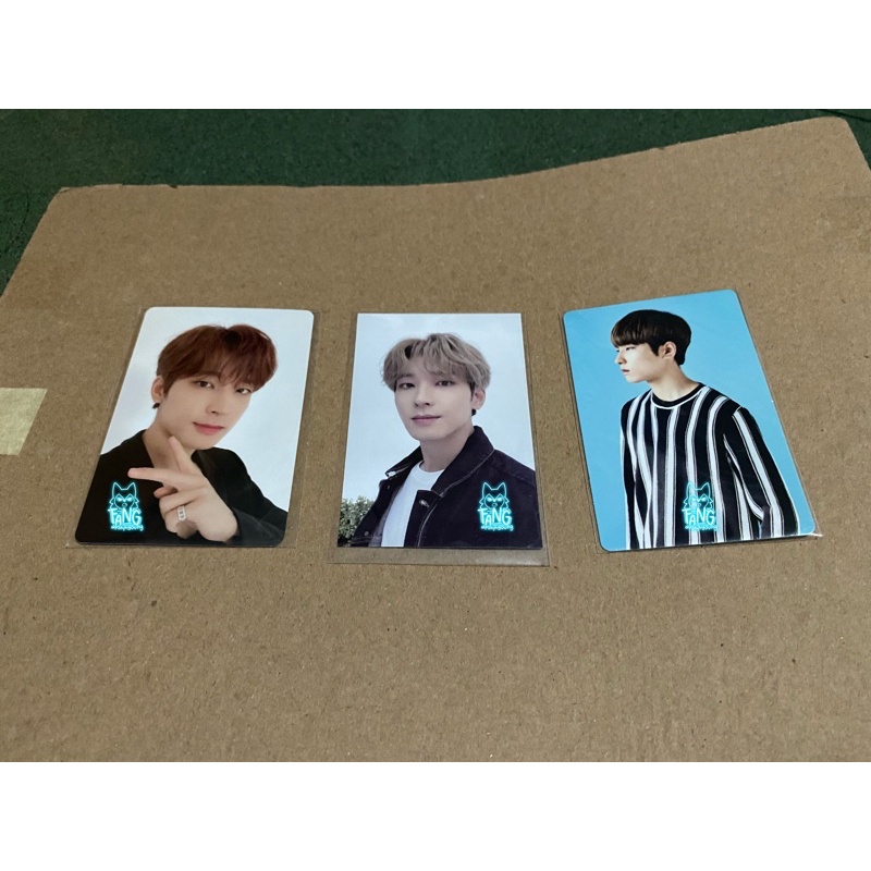 Bundle Wonwoo SG21 Cargen 2 PC t-shirt rugger caratland