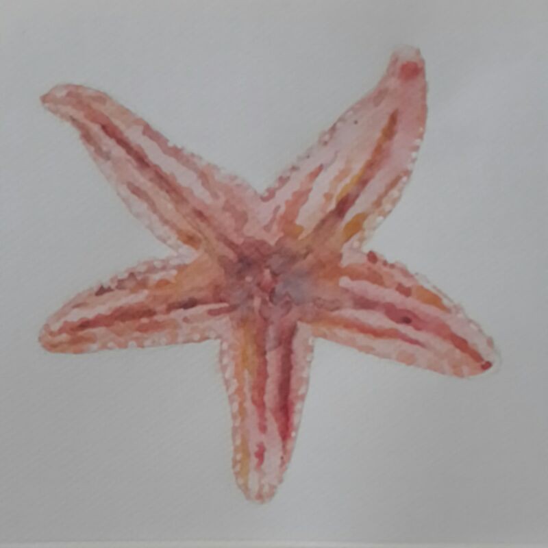 

Lukisan cat air original