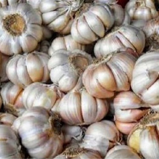 Bawang Putih Organik 300g / Organic Garlic 300g