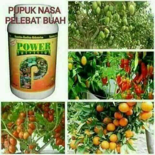 Power Nutrition - Pupuk Nasa - Pupuk Pelebat Buah - Pupuk Buah Nasa 500gr