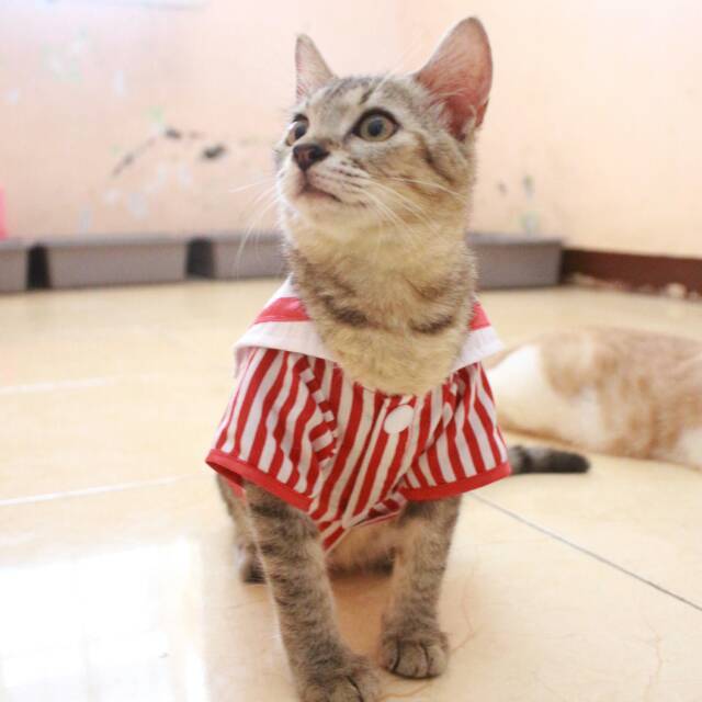 Kemeja ala sailor list merah lucu untuk kucing dan anjing size S-XL