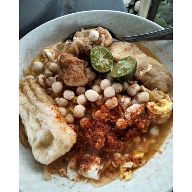 

Boci biasa
