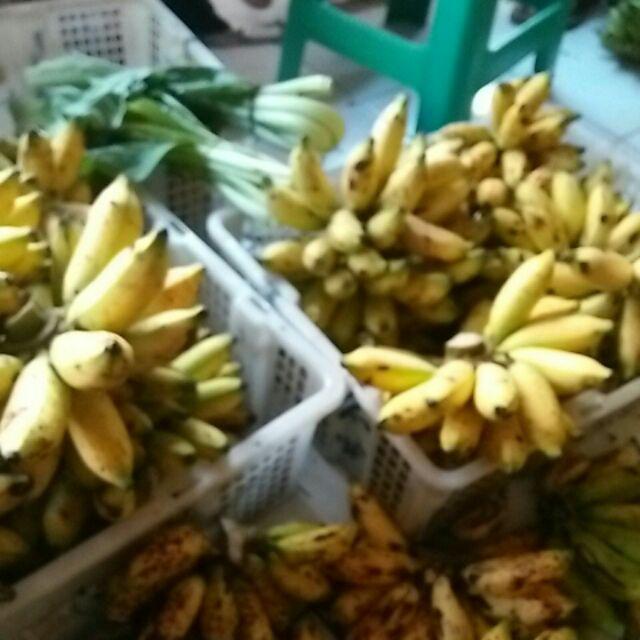 Sarung Batik Pekalongan Terlaris